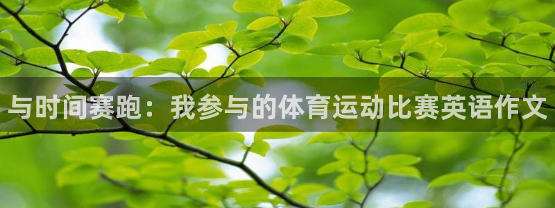 必一运动体育官网入口