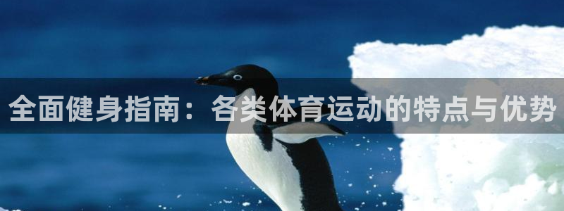必一运动体育：全面健身指南：各类体育运动的特点与优势