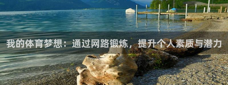 必一运动bsport体育