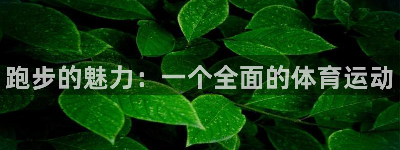 必一运动：跑步的魅力：一个全面的体育运动