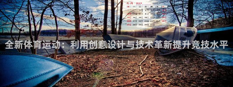 必一运动：全新体育运动：利用创意设计与技术革新提升竞技水平